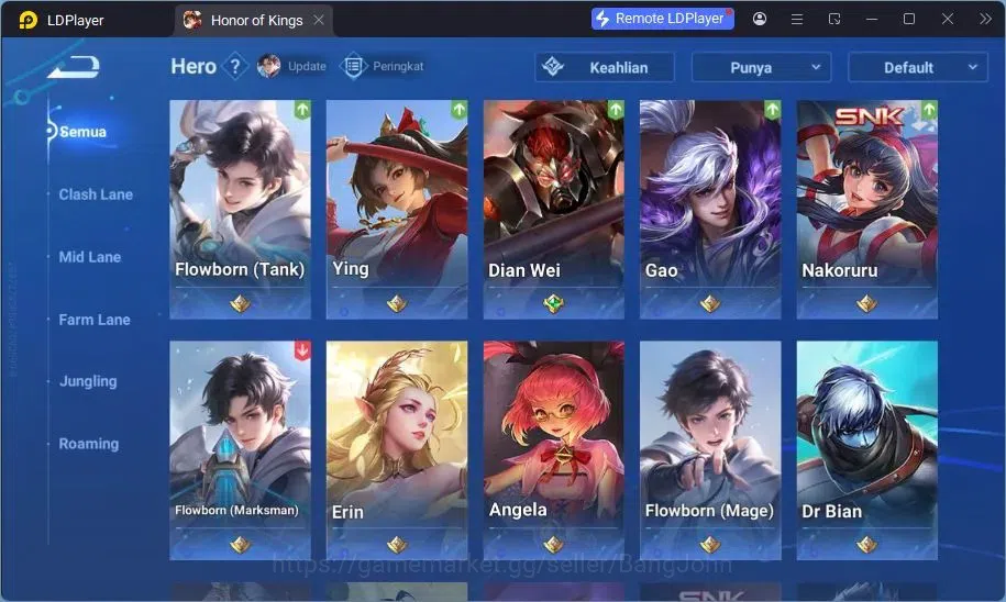 Honor of Kings Accounts Global | 47H 36S | Lady Sun LGD, Lam LGD | Dr Bian image 5