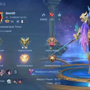 Mobile Legends: Bang Bang Collector Global|Hero 132|Skin 237|Renowned|KOF Karina,Colle image 1