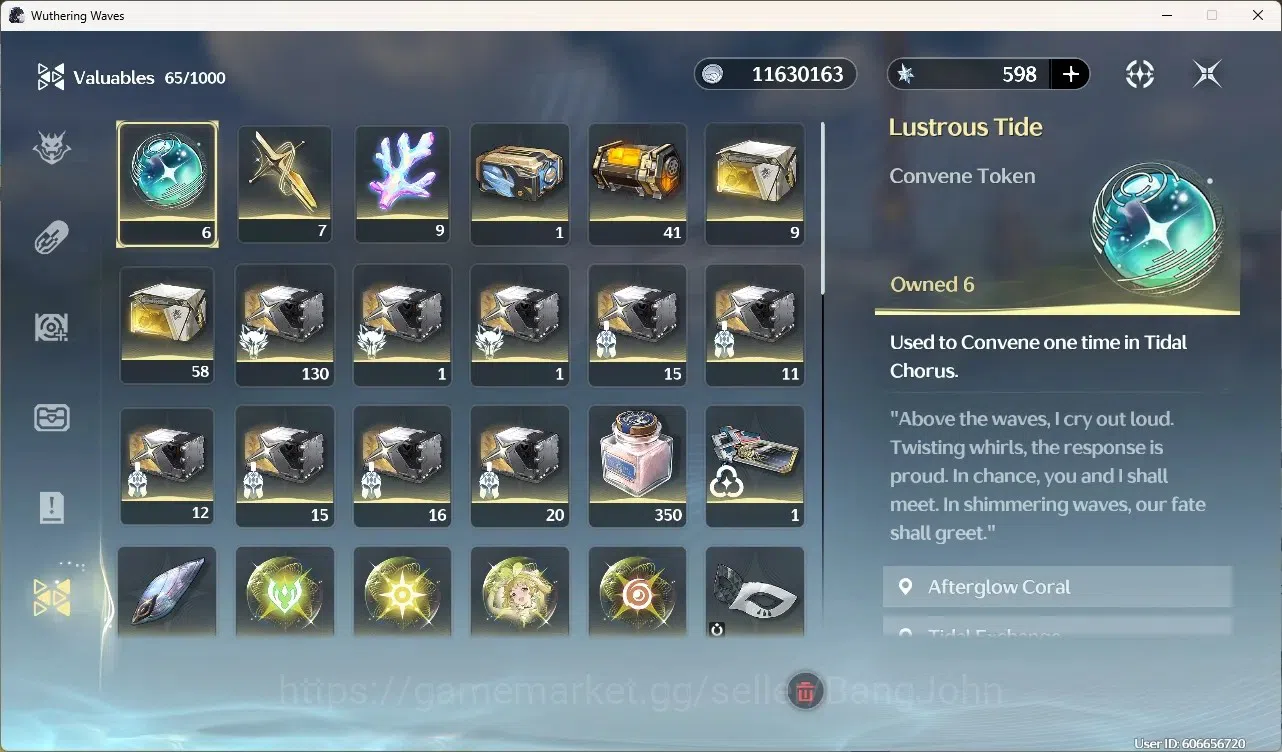 Wuthering Waves Accounts Starter EU|UL 46|Rank 5|3 Char Limited [Phrolova Rc4]+Sign,Rebecca,Aemeath| Mc Male | TakeMail 16