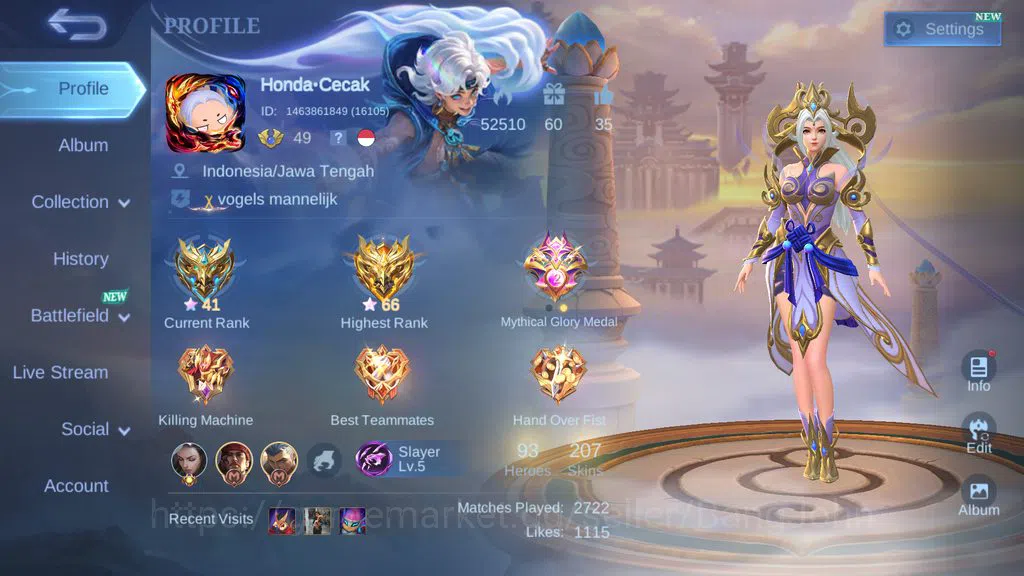 Mobile Legends: Bang Bang Accounts Hero 93 | Skin 207 | Collector Silvana | Luckybox image 1