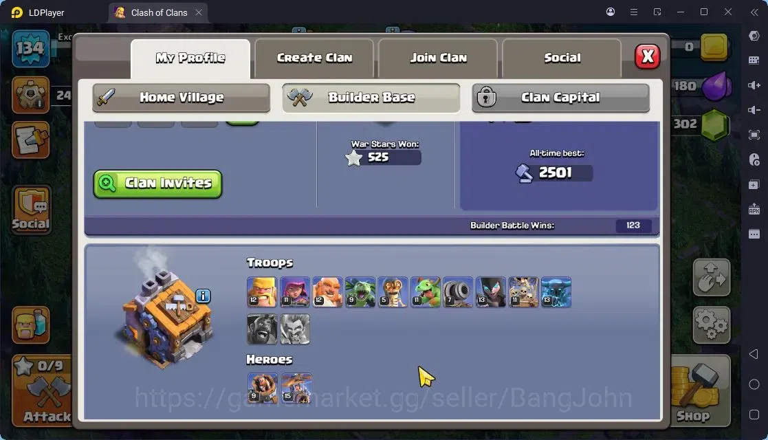Clash of Clans Accounts High-End TH 13-BH 9|LVL163|BK41,AQ47,MP37,GW27,RC17|BM9,BC15|2 Legend skin & 2 Gold|Gem 1302|Proteck 17