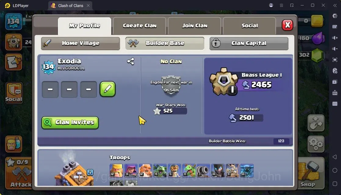 Clash of Clans Accounts High-End TH 13-BH 9|LVL163|BK41,AQ47,MP37,GW27,RC17|BM9,BC15|2 Legend skin & 2 Gold|Gem 1302|Proteck 18