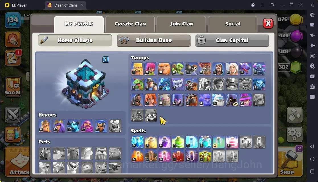Clash of Clans Accounts High-End TH 13-BH 9|LVL163|BK41,AQ47,MP37,GW27,RC17|BM9,BC15|2 Legend skin & 2 Gold|Gem 1302|Proteck 5