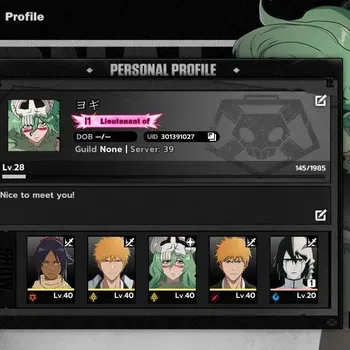 BLEACH: Soul Resonance Accounts NuverseSEA Lv 28|4 SSR|Ichigo Bankai+Stamp,Ichigo DZ,Nelliel,Yoruichi|10