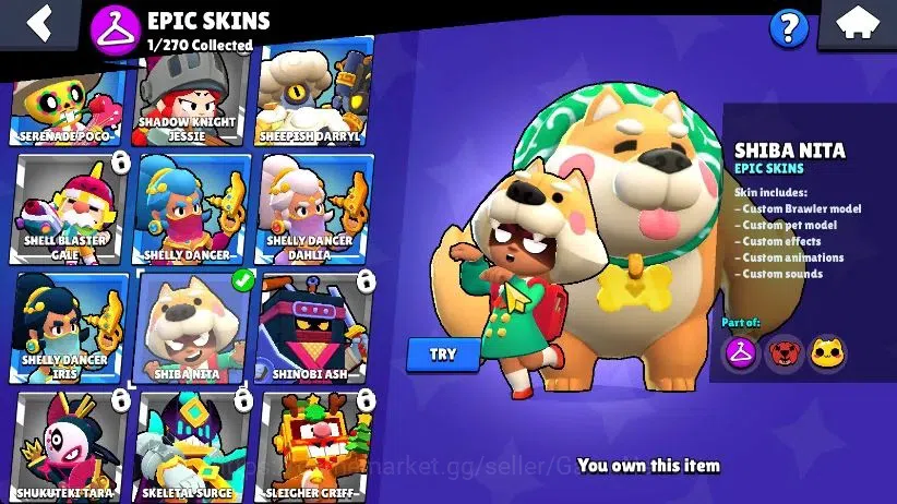 Brawl Stars Accounts 1009 Trophy|15 Brawlers 4 Max Lvl [Meeple,Bo,Edgar,Shelly]| 1 Epic Skins [Shiba Nita] 1 Rare|CN ON|Take 6