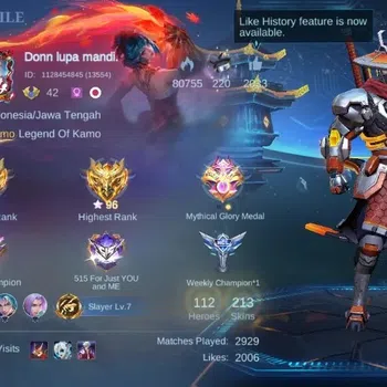 Mobile Legends: Bang Bang Accounts Collector Global|Hero 112|Skin 213|Renowned|Hayabusa 11.11,Florin sanrio,3