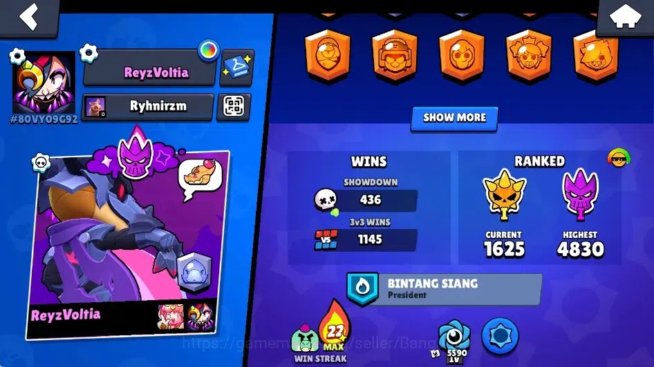 Brawl Stars Accounts Global|13247 Trophy|72 Brawlers-12 Max Lv.|10 Hype image 3