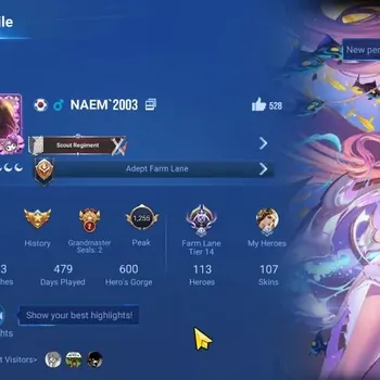 Honor of Kings Accounts Rare Skin Global | 113H-107S | Legend: Butterfly, Li Xin, Yao| SXD: Hou Yi, Dyadia,|1 Background