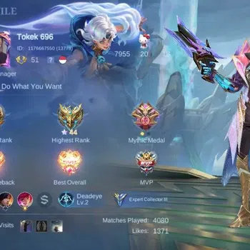 Mobile Legends: Bang Bang Collector Global|Hero 115 Skin 162|Expert|LBox Irithel|M7 Gr image 1